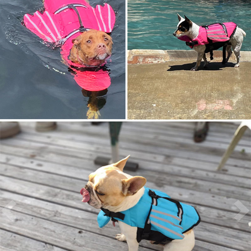 Спасательный жилет для собак,  – обзор и цена Life Jacket